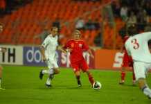 ACREDITĂRI DE PRESĂ ŞI BILETE DE INTRARE LA JOCUL AMICAL ROMÂNIA – ITALIA