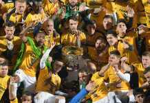 Astra, campioana României 2015-2016!