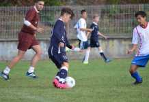 MARAMUREȘ | 11 pentru ROMÂNIA!