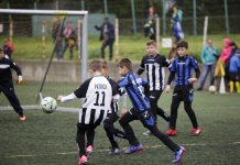 Interliga nationala FRF