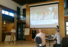 FRF, partener în proiectul care promovează politici de siguranță și protecție a copiilor din sport