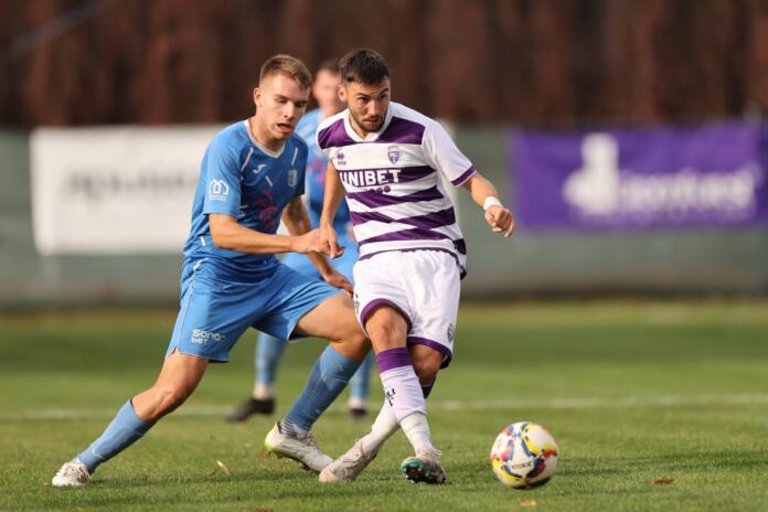 poli timisoara L3