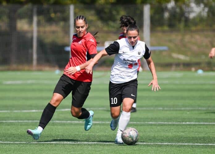 458216657_1042398004561044_34444227098711880_n